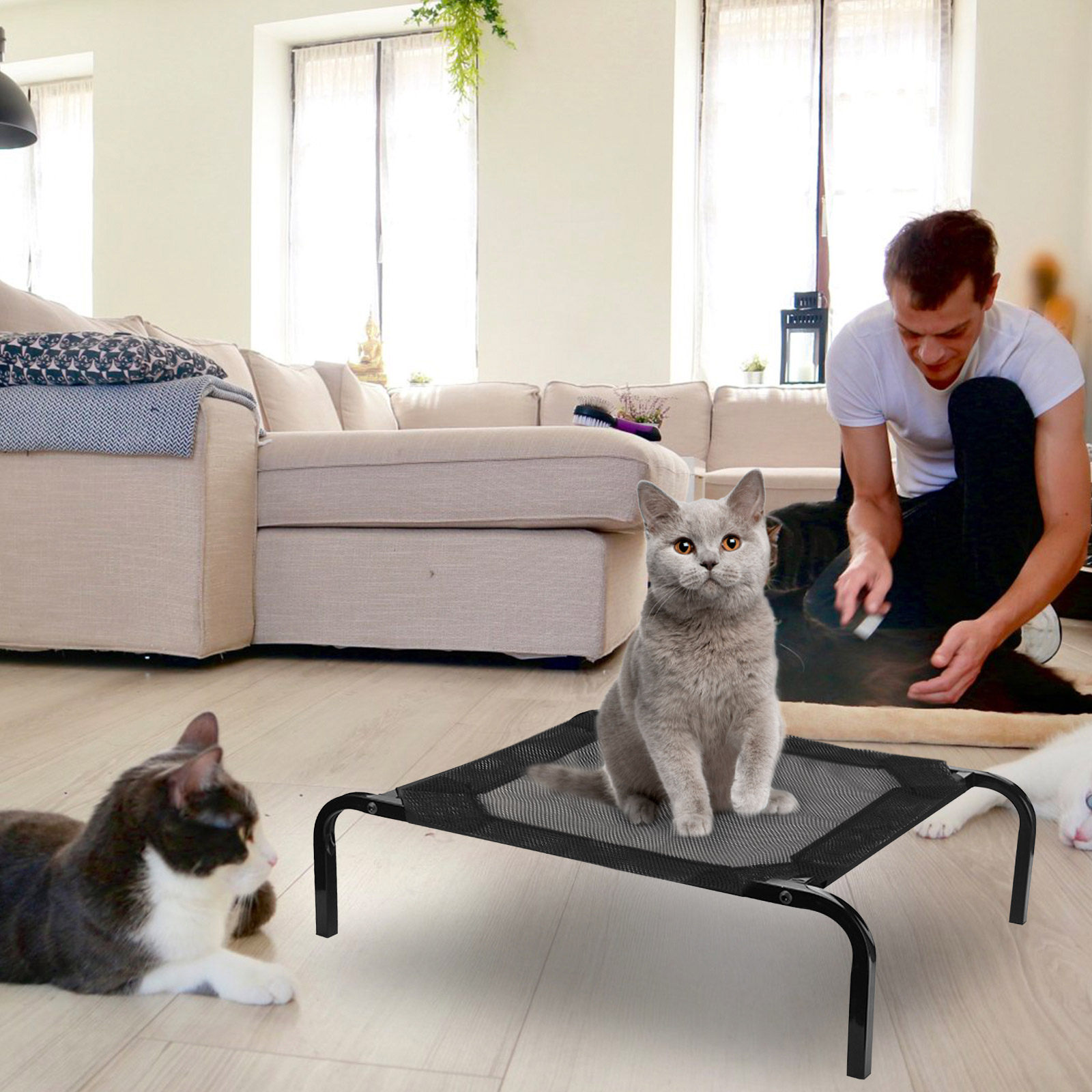 Calming Dog Bed - Dog Bed Mesh Cover Elevated Pet