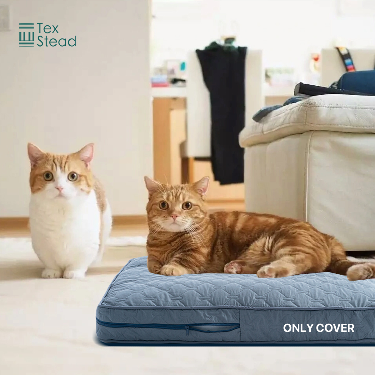 1Pc Orthopedic Dog Beds Cover  – Calming Dog Bed recenzja i cena