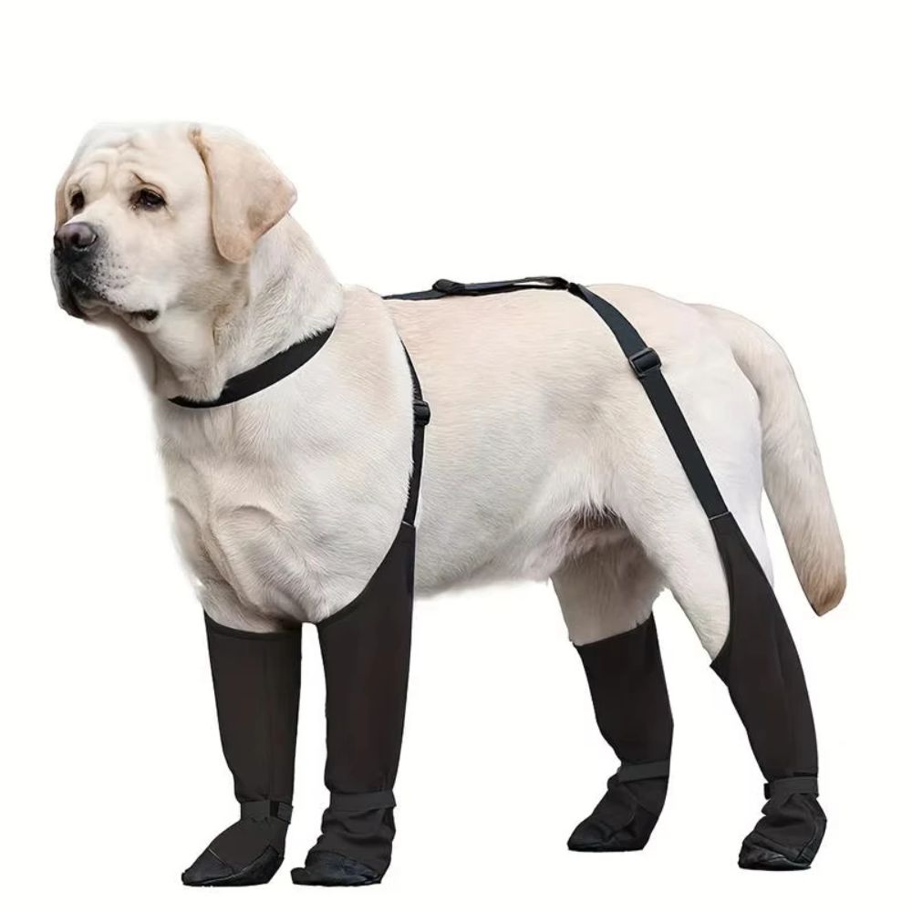 Anti-fall Waterproof Dog Shoes – Dog Booties Paw Protector recenzja i cena