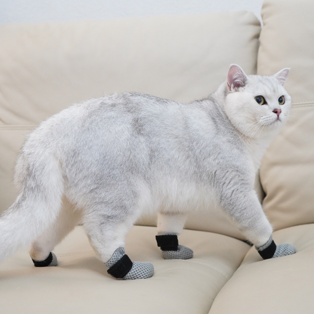 Pet supplies, cat and dog foot – Pet Supplies Co recenzja i cena