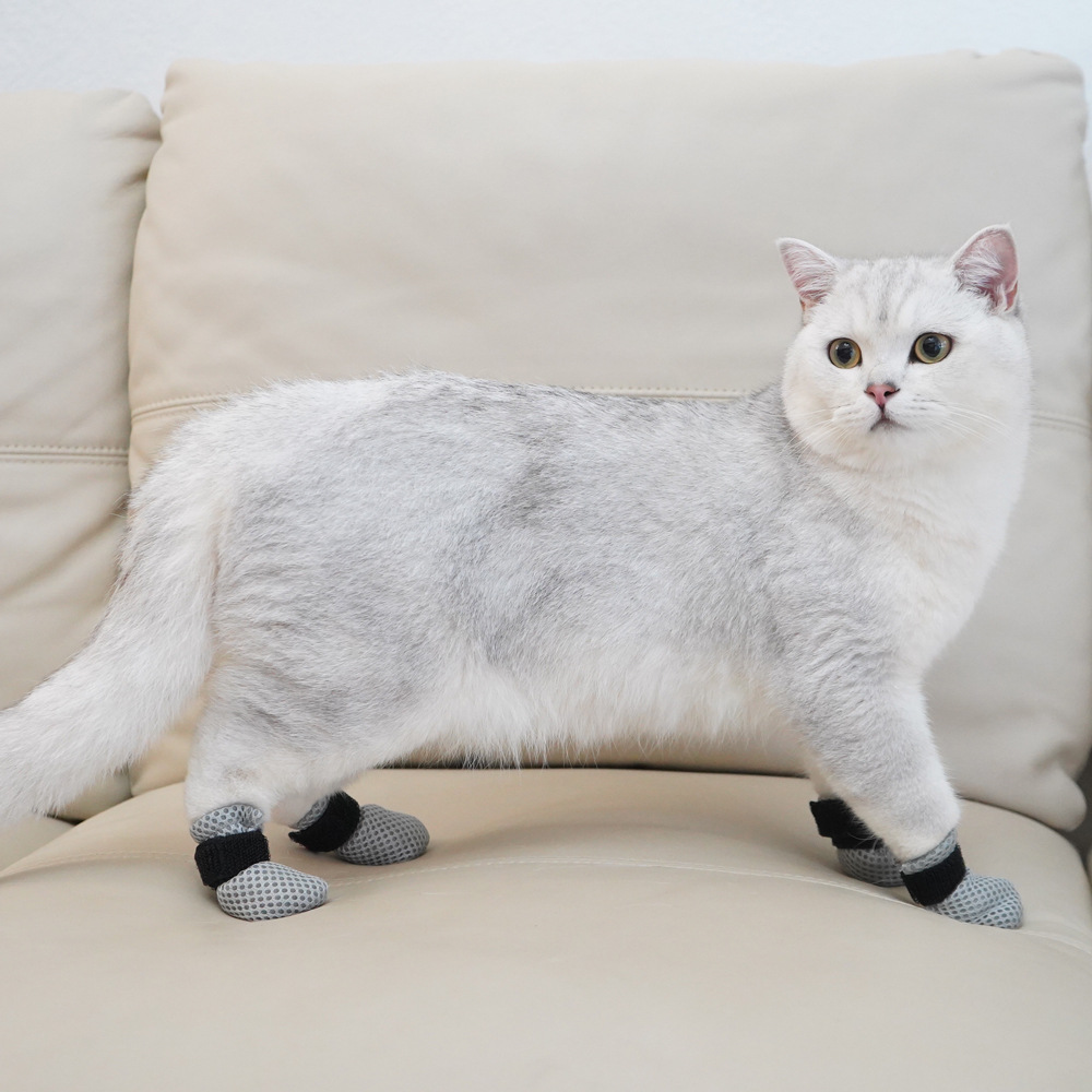 Pet supplies, cat and dog foot – Pet Supplies Co recenzja i cena
