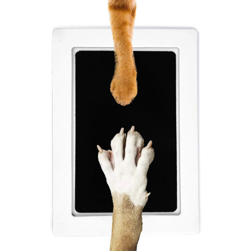 Cat Dog Paw Print Ink Kit Pad  – Dog Paw Cleaner recenzja i cena