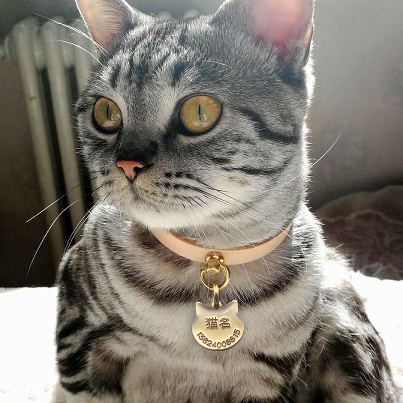 Cat Collar Leather Pet Cat Nec – Pet Supplies List recenzja i cena