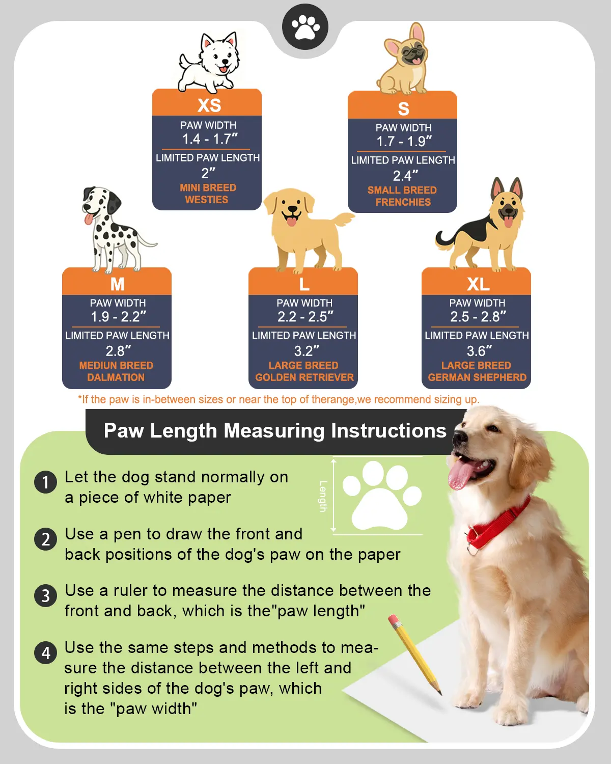 Dog Shoes for Hot Pavement - D – Dog Booties Paw Protector recenzja i cena