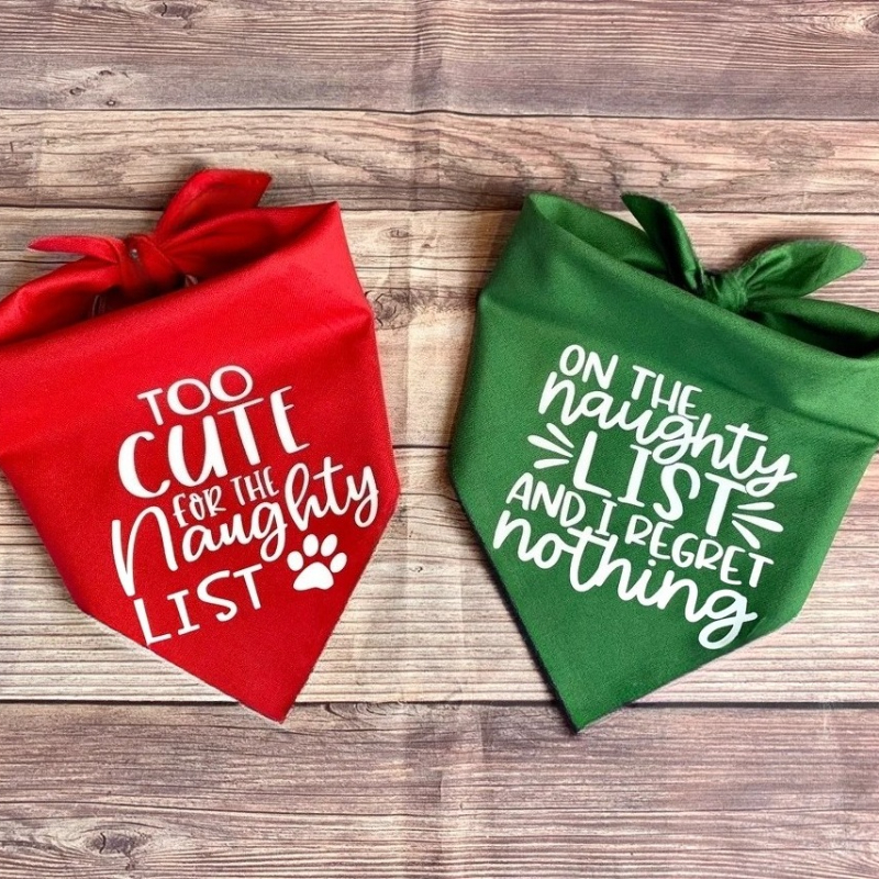 On The Naughty List Funny Band – Pet Supplies List recenzja i cena