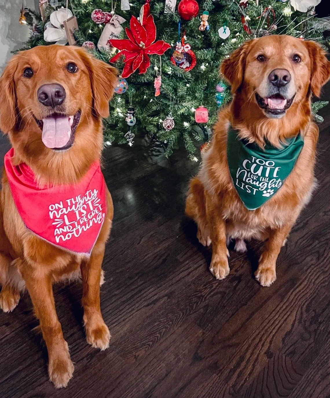 On The Naughty List Funny Band – Pet Supplies List recenzja i cena