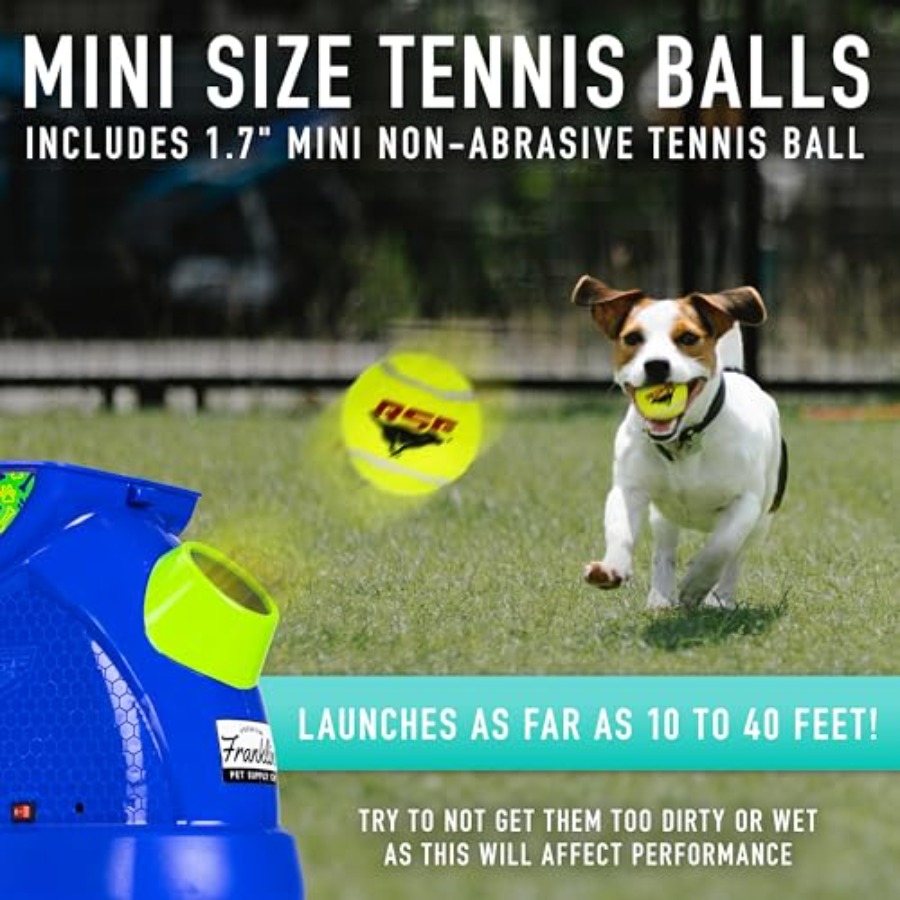 Franklin Pet Supply Co. Ready  – Pet Supplies Co recenzja i cena