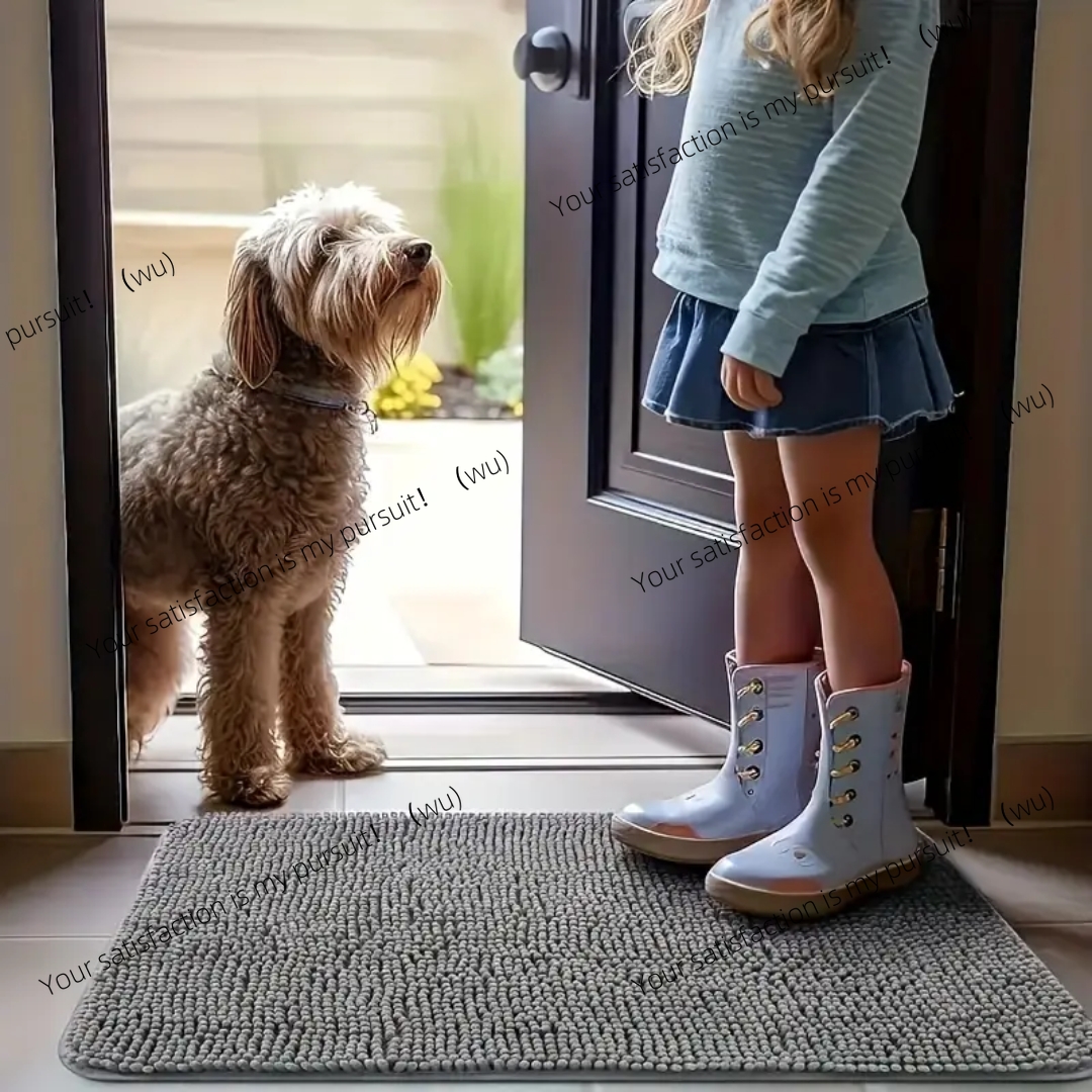 Dog Door Mat Mud Catcher - Abs – Dog Paw Cleaner recenzja i cena