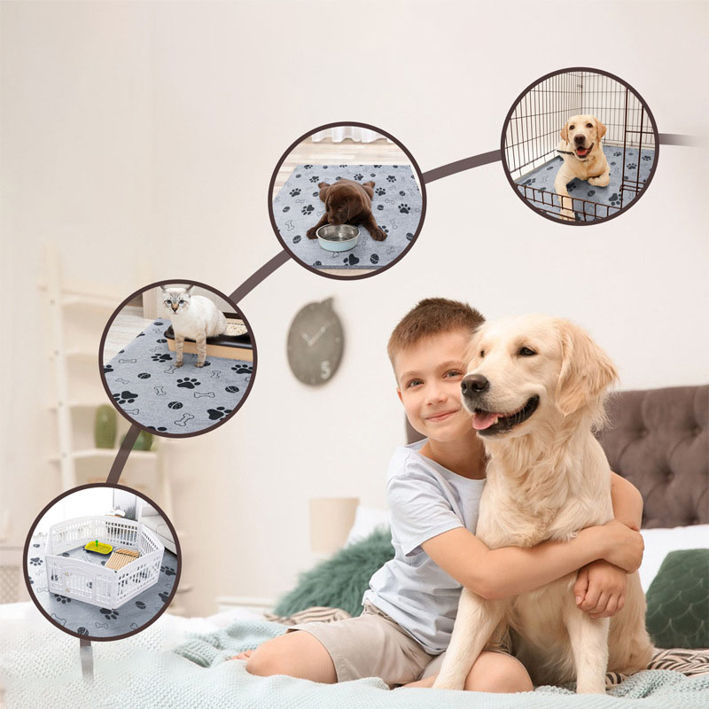 Dog Bed Mat All Season Pet Sle – Calming Dog Bed recenzja i cena