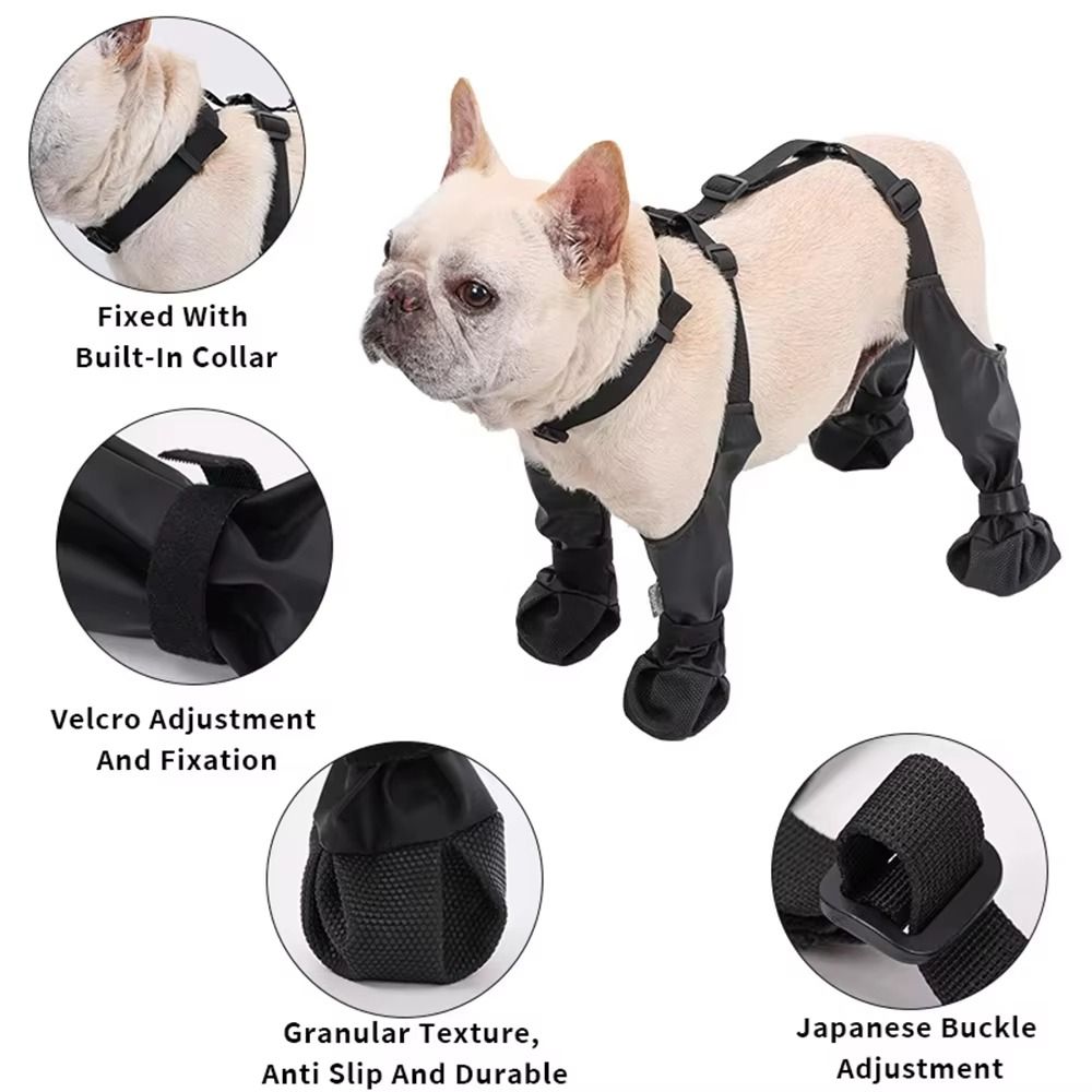 Anti-fall Waterproof Dog Shoes – Dog Booties Paw Protector recenzja i cena