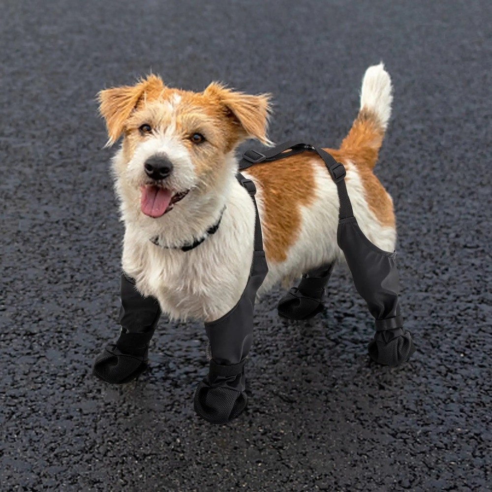 Anti-fall Waterproof Dog Shoes – Dog Booties Paw Protector recenzja i cena