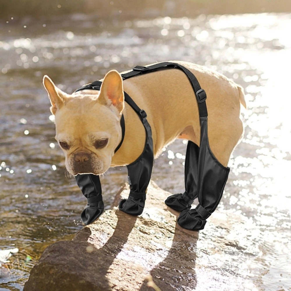Anti-fall Waterproof Dog Shoes – Dog Booties Paw Protector recenzja i cena