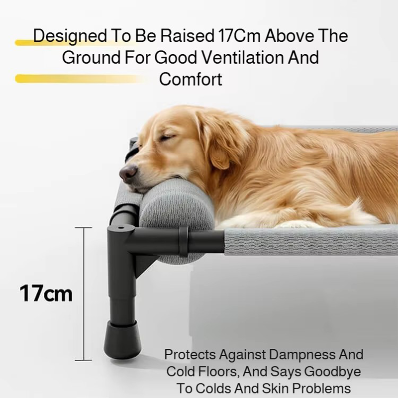 Elevated Cooling Pet Cot Breat – Calming Dog Bed recenzja i cena