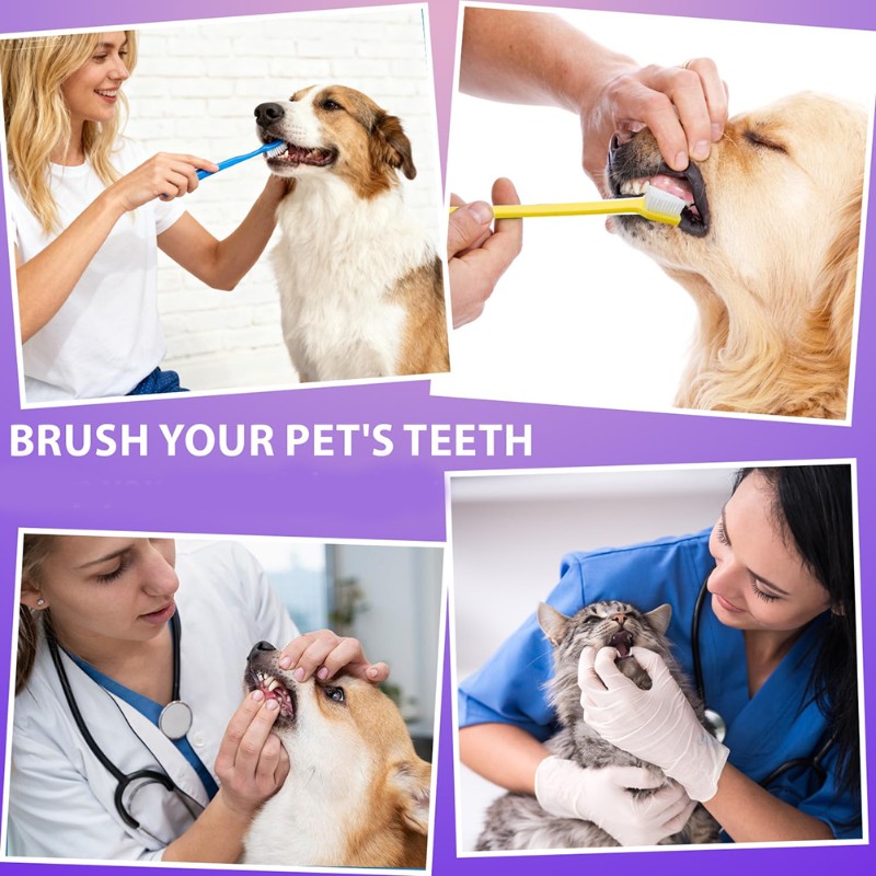 AB66-Dog Oral Hygiene Tool- 60 – Dog Paw Cleaner recenzja i cena