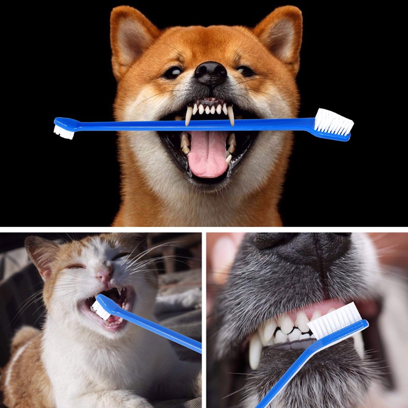 AB66-Dog Oral Hygiene Tool- 60 – Dog Paw Cleaner recenzja i cena