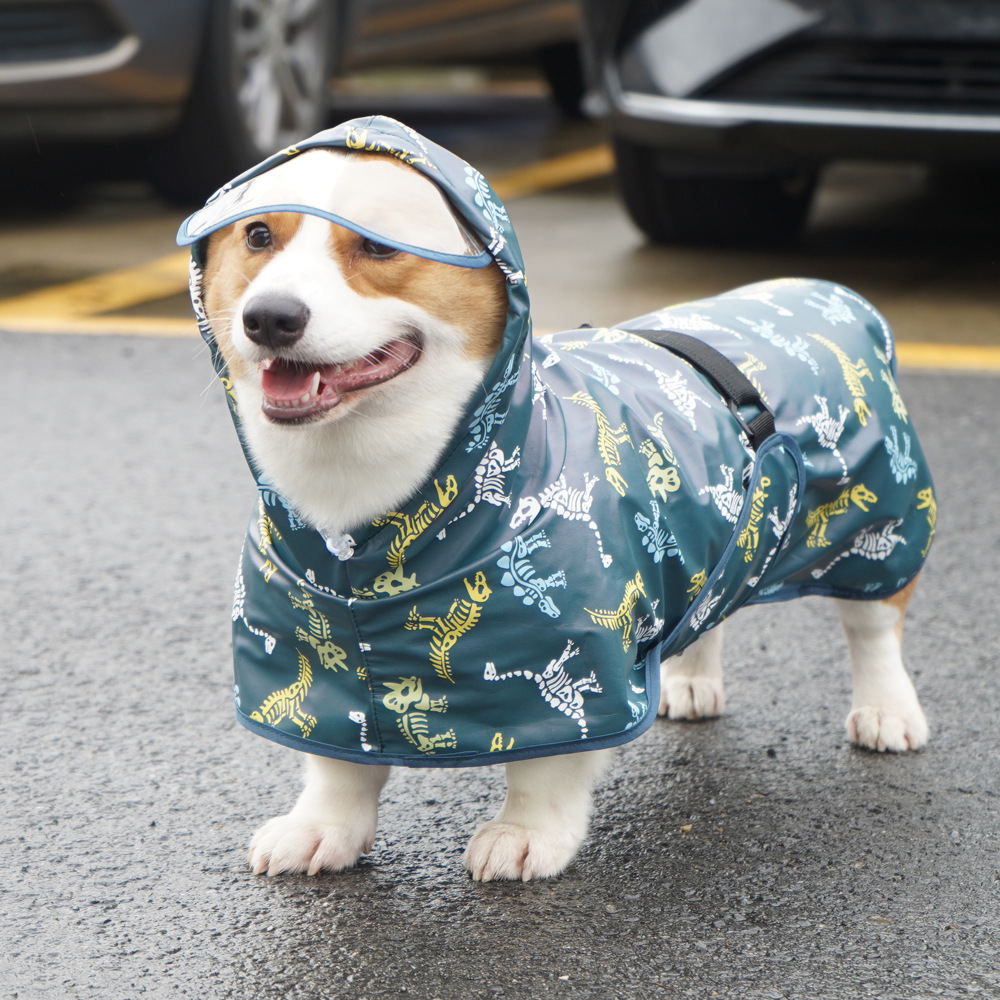 Teddy Co Fund Hair Pet Clothes – Pet Supplies Co recenzja i cena